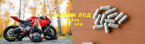 трава Аркадак