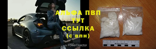 эйфоретик Арсеньев