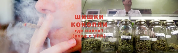 трава Аркадак
