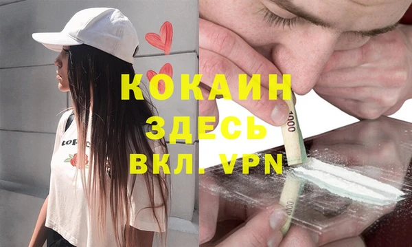 трава Аркадак